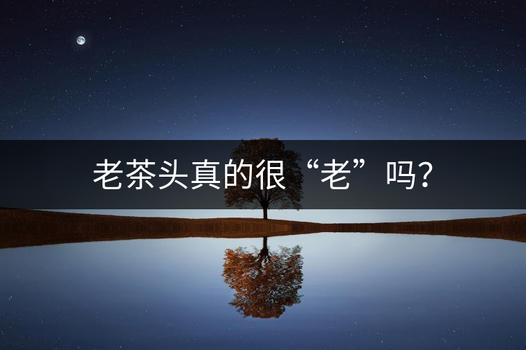老茶頭真的很“老”嗎? 老茶頭真的很“老”嗎?