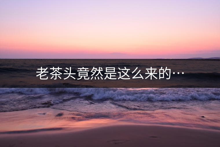 老茶頭竟然是這么來的… 老茶頭竟然是這么來的…