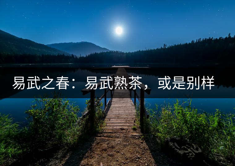 易武之春:易武熟茶,或是別樣風采丨賞鑒 易武之春:易武熟茶,或是別樣風采丨賞鑒