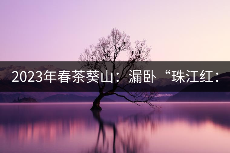 2023年春茶葵山:漏臥“珠江紅:1200元-3200元(有3個檔次)漏臥“大廠茶”:古樹單株8600-9000元/公斤,中樹4800-5200元/公斤,小樹混采2600-2800元/公斤。 2023年春茶葵山:漏臥“珠江紅:1200元-3200元(有3個檔次)漏臥“大廠茶”:古樹單株8600-9000元/公斤,中樹4800-5200元/公斤,小樹混采2600-2800元/公斤。