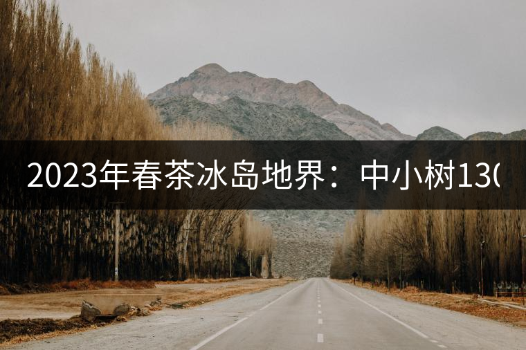 2023年春茶冰島地界:中小樹1300-1500元/公斤,古樹2200~2500元/公斤 2023年春茶冰島地界:中小樹1300-1500元/公斤,古樹2200~2500元/公斤