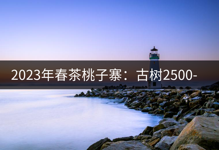 2023年春茶桃子寨:古樹(shù)2500-3000元/公斤 2023年春茶桃子寨:古樹(shù)2500-3000元/公斤