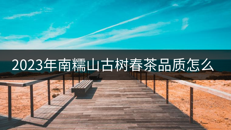 2023年南糯山古樹春茶品質(zhì)怎么樣？