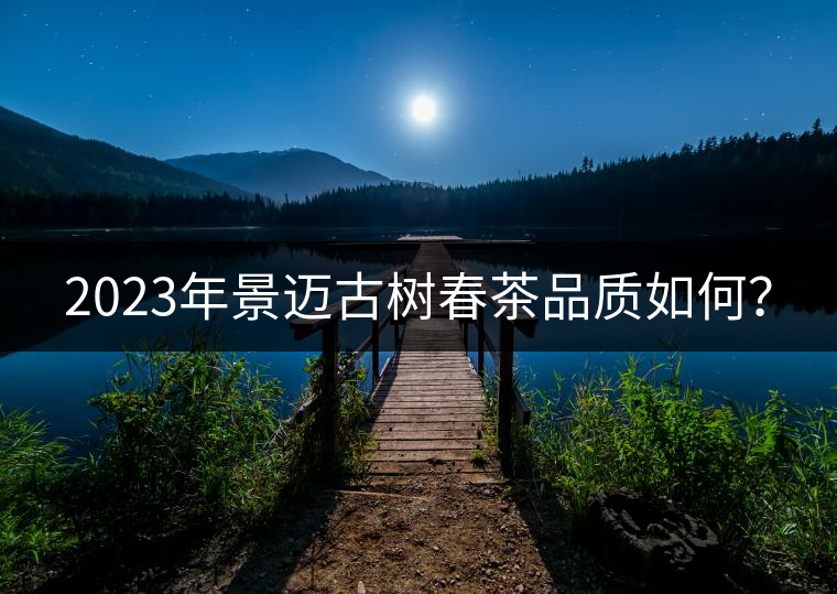 2023年景邁古樹春茶品質如何？