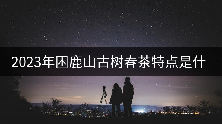2023年困鹿山古樹春茶特點(diǎn)是什么? 2023年困鹿山古樹春茶特點(diǎn)是什么?