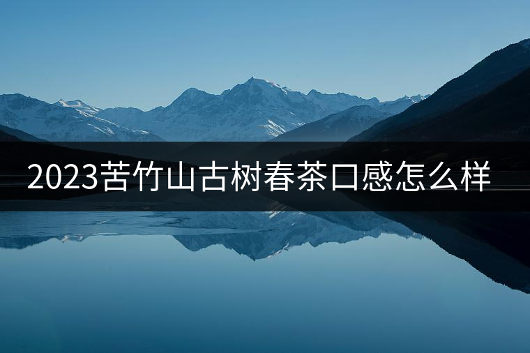 2023苦竹山古樹春茶口感怎么樣? 2023苦竹山古樹春茶口感怎么樣?