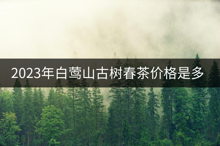 2023年白鶯山古樹春茶價格是多少? 2023年白鶯山古樹春茶價格是多少?