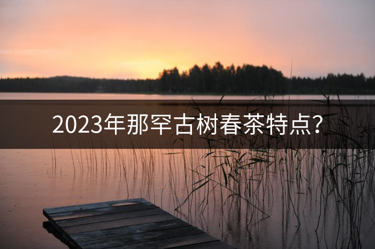 2023年那罕古樹春茶特點? 2023年那罕古樹春茶特點?