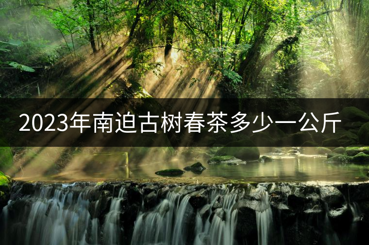 2023年南迫古樹(shù)春茶多少一公斤? 2023年南迫古樹(shù)春茶多少一公斤?
