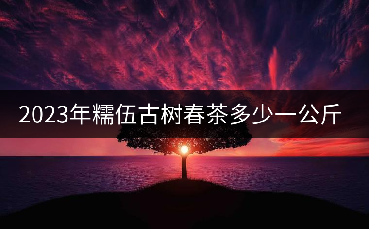 2023年糯伍古樹春茶多少一公斤? 2023年糯伍古樹春茶多少一公斤?