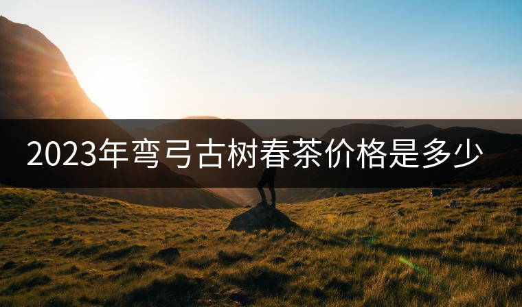 2023年彎弓古樹春茶價格是多少? 2023年彎弓古樹春茶價格是多少?