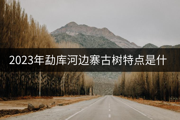 2023年勐庫河邊寨古樹特點是什么？