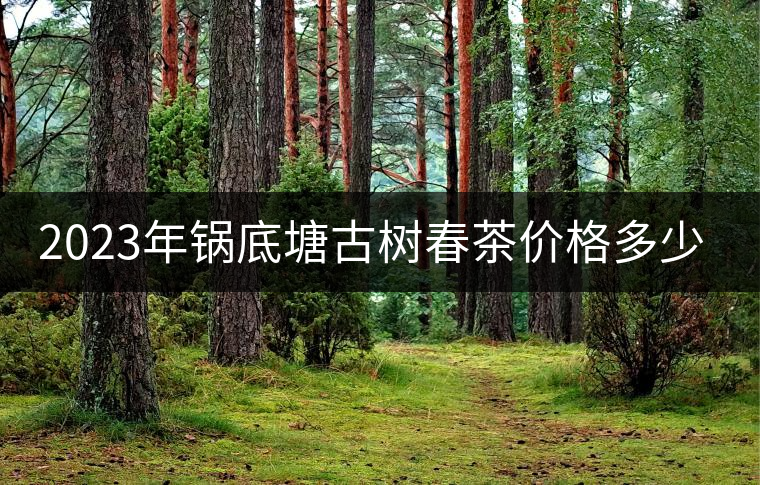 2023年鍋底塘古樹春茶價(jià)格多少？