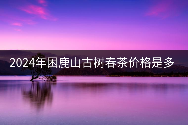 2024年困鹿山古樹春茶價格是多少? 2024年困鹿山古樹春茶價格是多少?