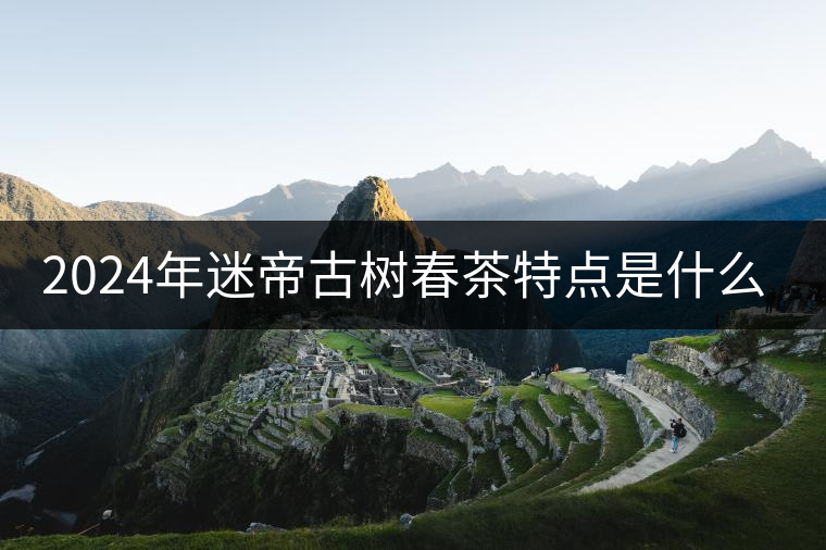 2024年迷帝古樹春茶特點是什么? 2024年迷帝古樹春茶特點是什么?