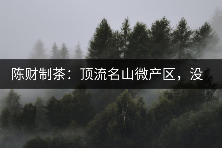 陳財制茶：頂流名山微產區，沒有意義的意義