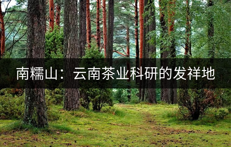 南糯山：云南茶業科研的發祥地