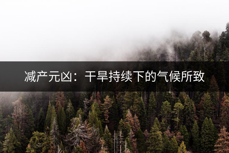 減產元兇:干旱持續下的氣候所致 減產元兇:干旱持續下的氣候所致