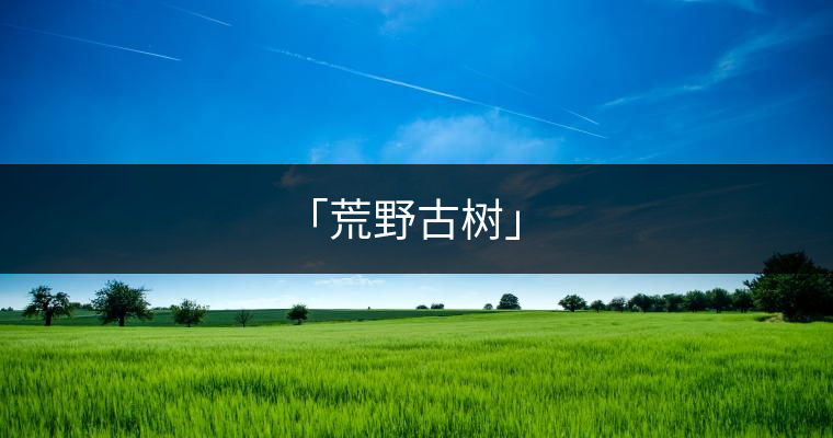 「荒野古樹」 「荒野古樹」