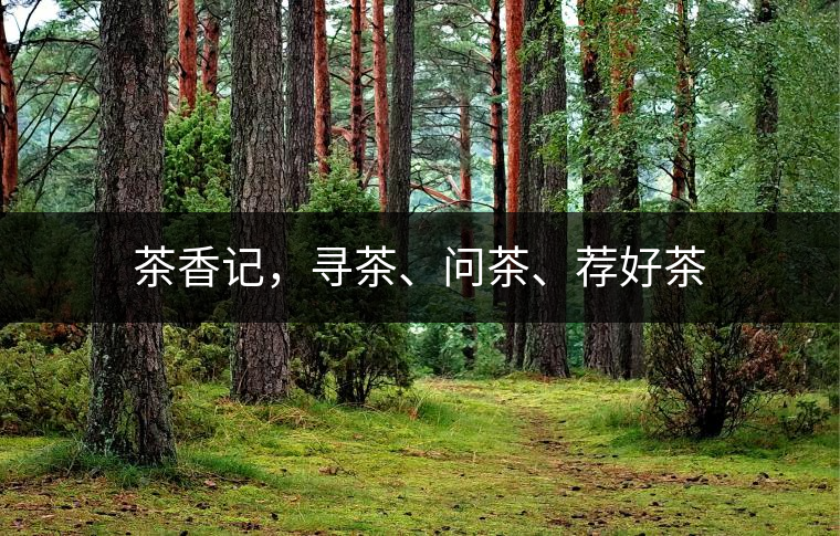 茶香記,尋茶、問茶、薦好茶 茶香記,尋茶、問茶、薦好茶