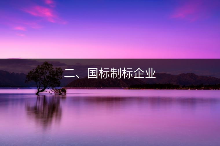 二、國標制標企業(yè)