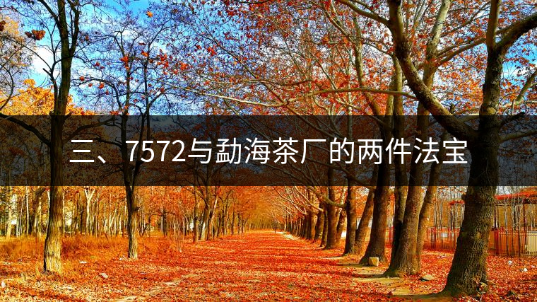 三、7572與勐海茶廠的兩件法寶 三、7572與勐海茶廠的兩件法寶