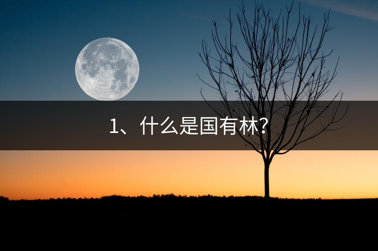 1、什么是國有林? 1、什么是國有林?