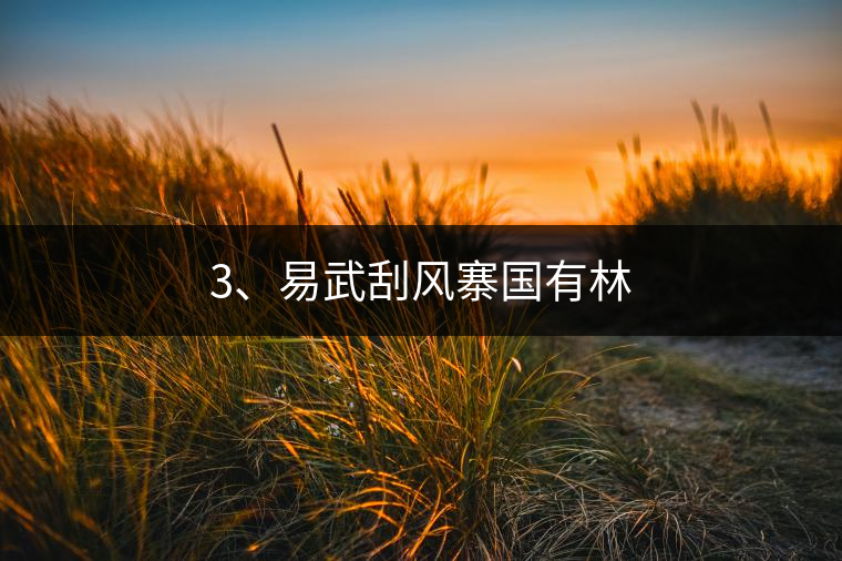 3、易武刮風(fēng)寨國有林