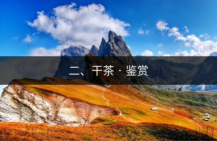 二、干茶 · 鑒賞 二、干茶 · 鑒賞