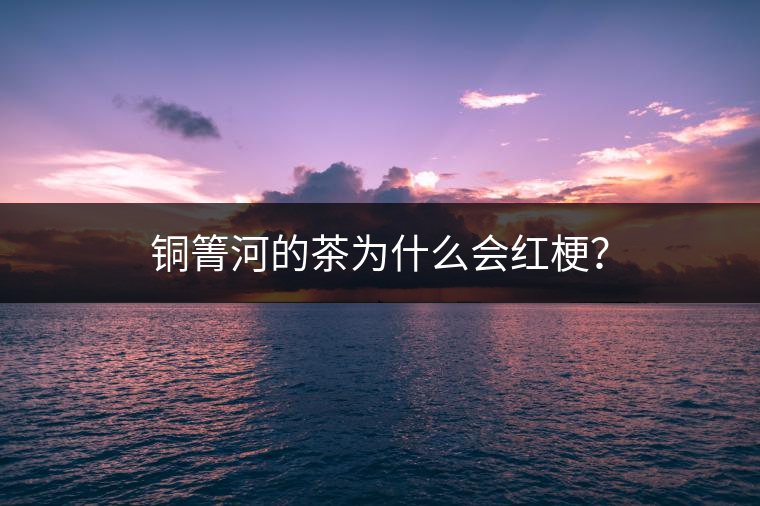 銅箐河的茶為什么會紅梗？