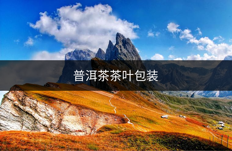 普洱茶茶葉包裝 普洱茶茶葉包裝