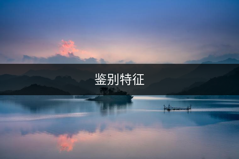 鑒別特征 鑒別特征