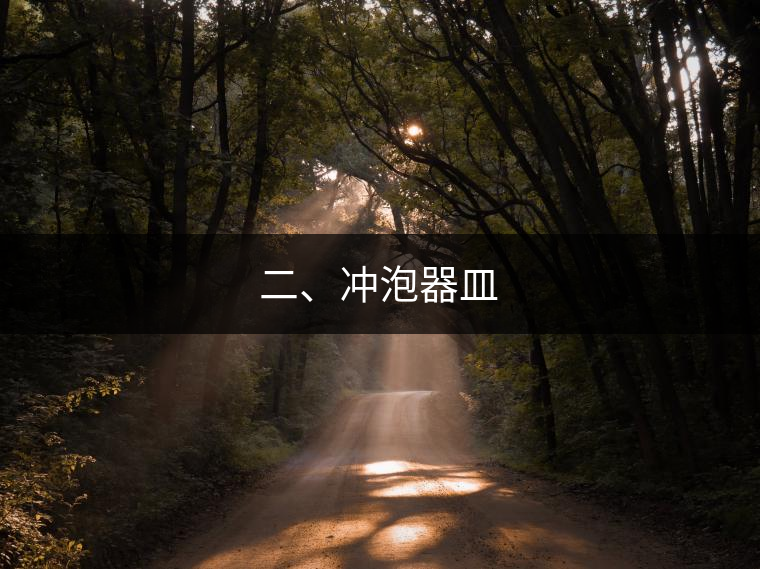 二、沖泡器皿 二、沖泡器皿