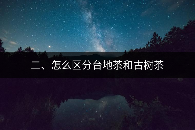 二、怎么區分臺地茶和古樹茶