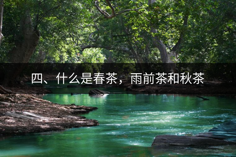 四、什么是春茶,雨前茶和秋茶 四、什么是春茶,雨前茶和秋茶