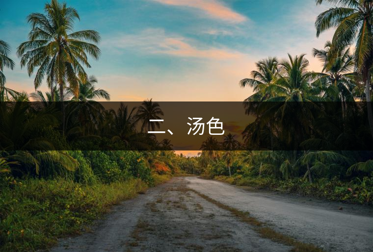 二、湯色 二、湯色