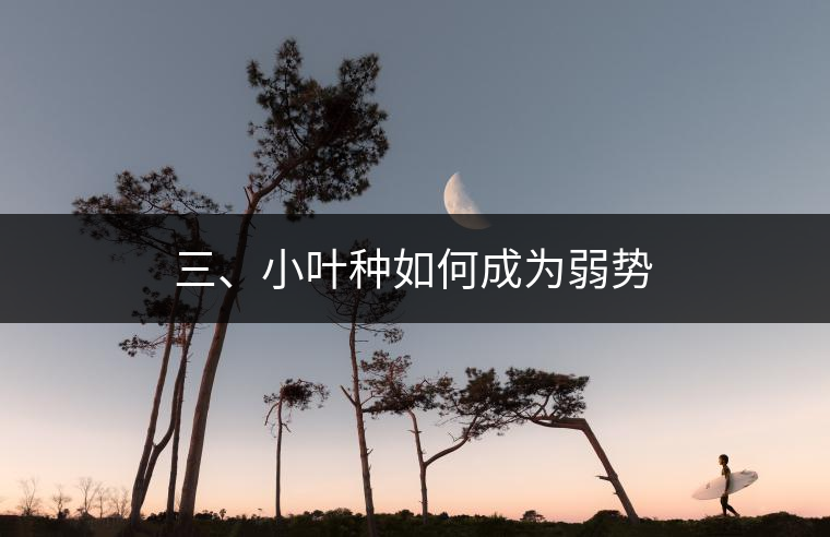 三、小葉種如何成為弱勢 三、小葉種如何成為弱勢
