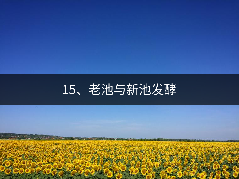 15、老池與新池發(fā)酵 15、老池與新池發(fā)酵