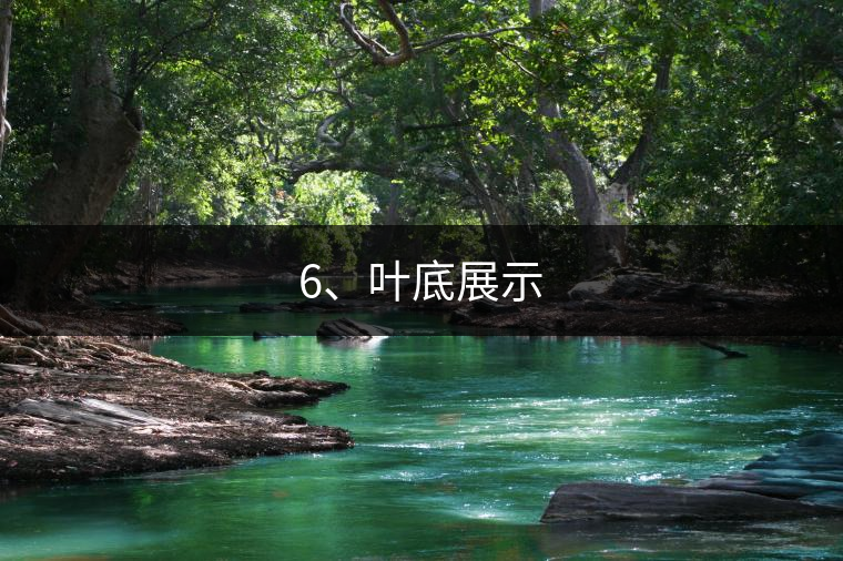 6、葉底展示 6、葉底展示