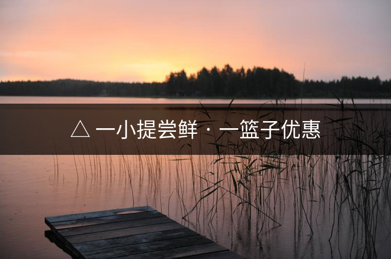 △ 一小提嘗鮮 · 一籃子優惠