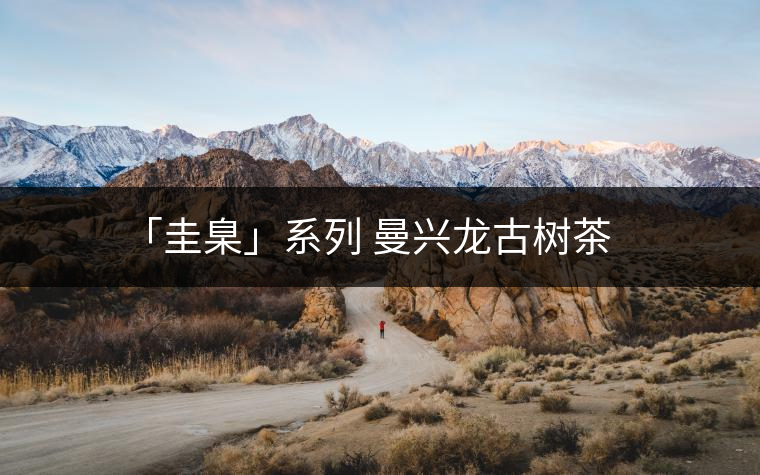 「圭臬」系列 曼興龍古樹茶 「圭臬」系列 曼興龍古樹茶