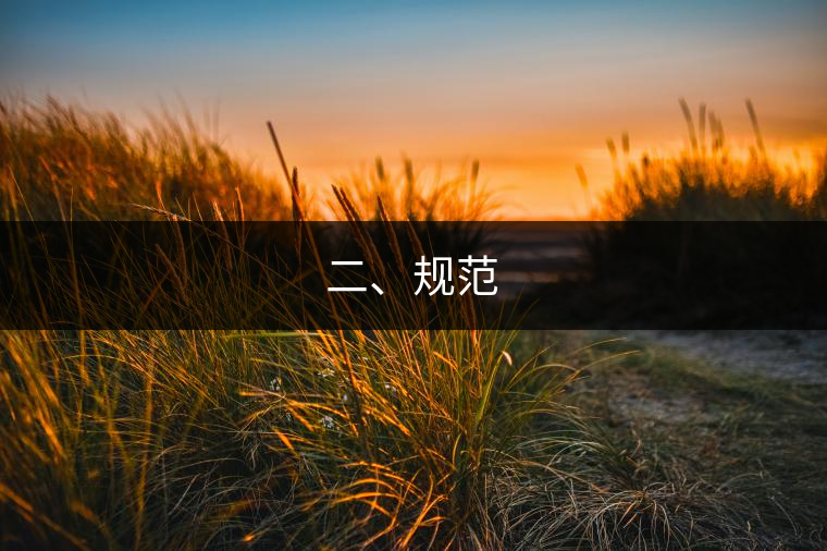 二、規(guī)范 二、規(guī)范