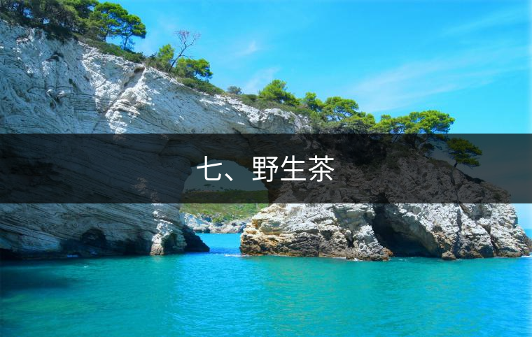七、野生茶 七、野生茶