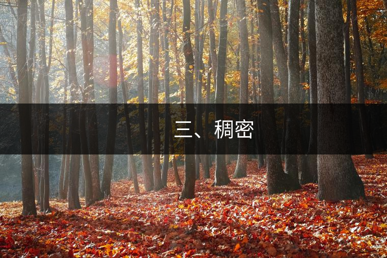 三、稠密 三、稠密