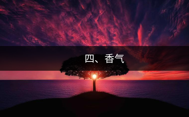 四、香氣 四、香氣