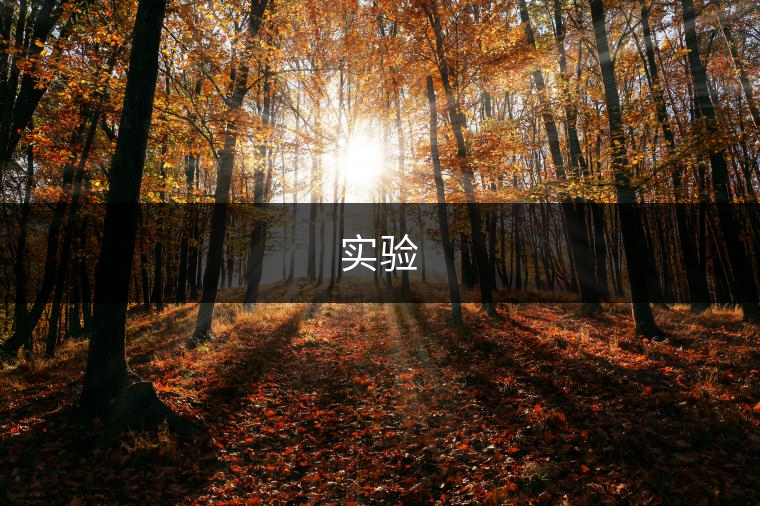 實驗
