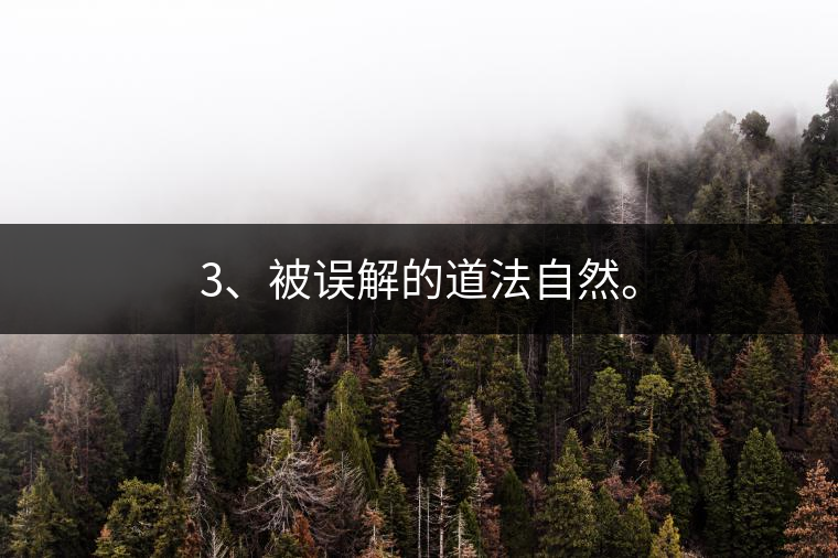 3、被誤解的道法自然。 3、被誤解的道法自然。
