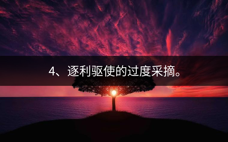 4、逐利驅(qū)使的過(guò)度采摘。 4、逐利驅(qū)使的過(guò)度采摘。