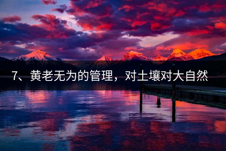 7、黃老無(wú)為的管理,對(duì)土壤對(duì)大自然的過(guò)渡依賴,對(duì)茶樹(shù)根疏忽。 7、黃老無(wú)為的管理,對(duì)土壤對(duì)大自然的過(guò)渡依賴,對(duì)茶樹(shù)根疏忽。