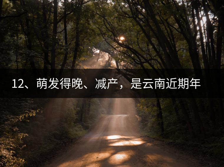 12、萌發(fā)得晚、減產(chǎn),是云南近期年氣候變化在茶樹(shù)上的延遲反映。 12、萌發(fā)得晚、減產(chǎn),是云南近期年氣候變化在茶樹(shù)上的延遲反映。